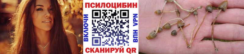Галлюциногенные грибы Cubensis  Кировград 